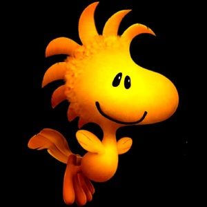 Meet your Posher, Wendy